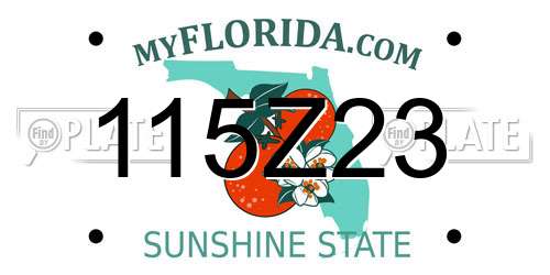 115Z23 Florida License Plate
