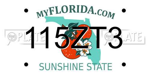 115ZT3 Florida License Plate