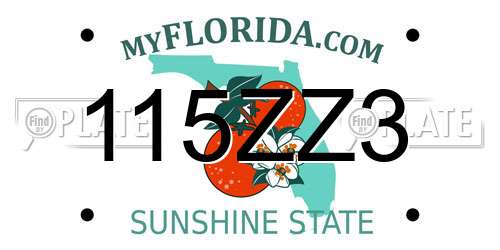 115ZZ3 Florida License Plate