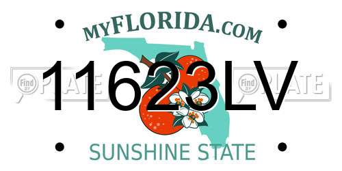 11623LV Florida License Plate