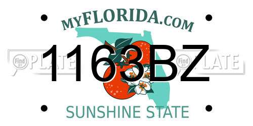 1163BZ Florida License Plate