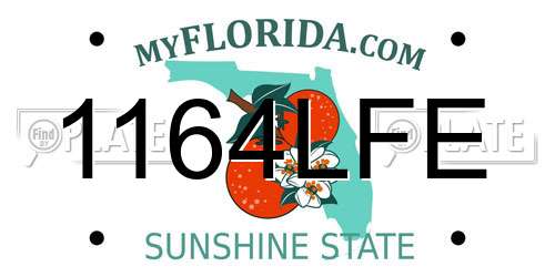 1164LFE Florida License Plate