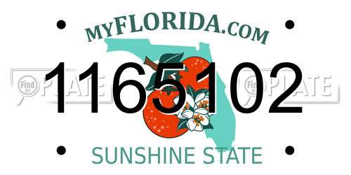 1165102 Florida License Plate
