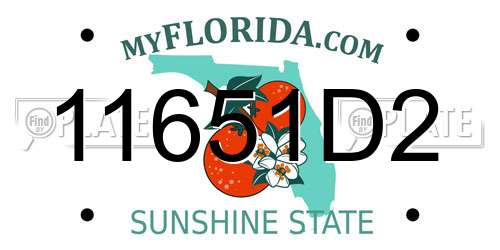 11651D2 Florida License Plate