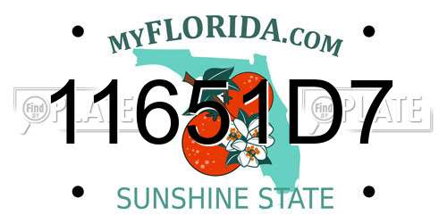 11651D7 Florida License Plate