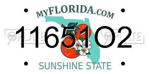 11651O2 Florida License Plate