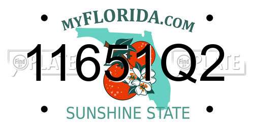11651Q2 Florida License Plate