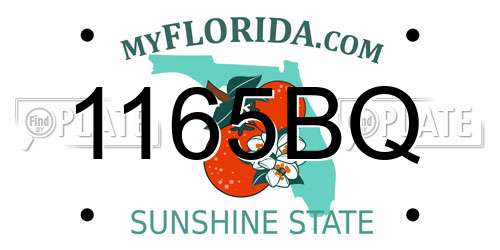 1165BQ Florida License Plate