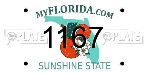 1167 Florida License Plate