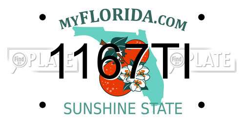 1167TI Florida License Plate