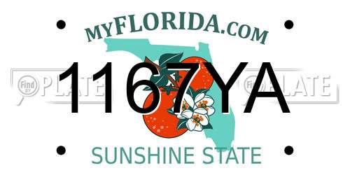 1167YA Florida License Plate