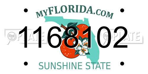 1168102 Florida License Plate
