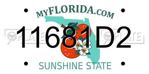 11681D2 Florida License Plate