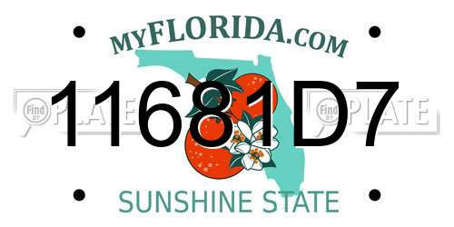 11681D7 Florida License Plate