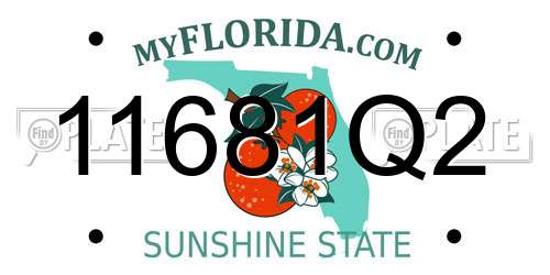 11681Q2 Florida License Plate