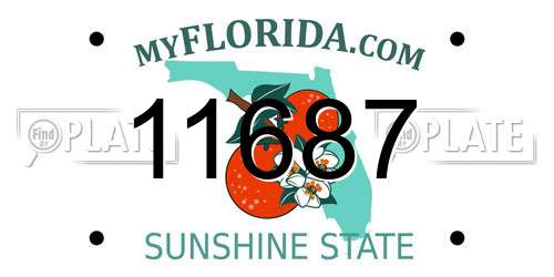 11687 Florida License Plate