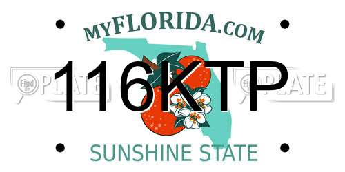 116KTP Florida License Plate
