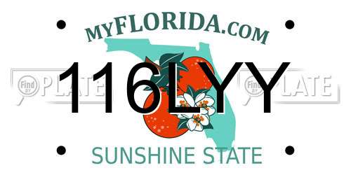 116LYY Florida License Plate