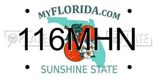 116MHN Florida License Plate