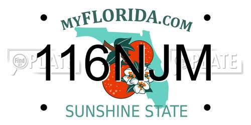 116NJM Florida License Plate