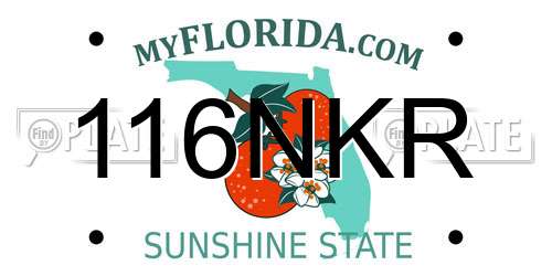 116NKR Florida License Plate