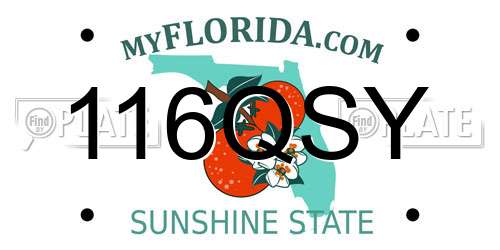 116QSY Florida License Plate