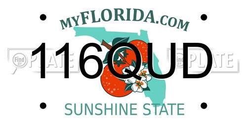 116QUD Florida License Plate
