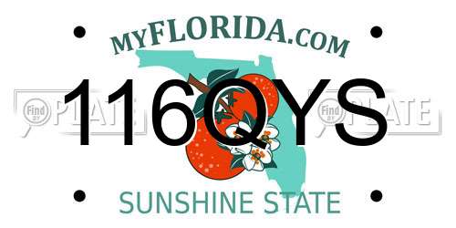116QYS Florida License Plate