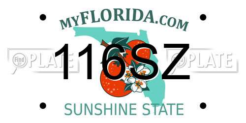 116SZ Florida License Plate