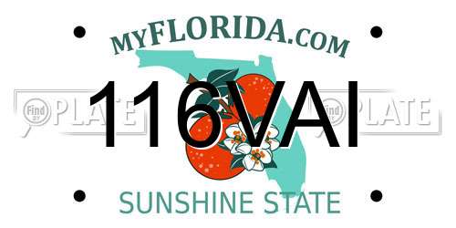 116VAI Florida License Plate