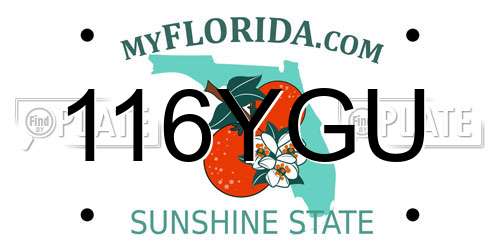 116YGU Florida License Plate