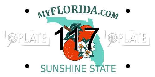 117 Florida License Plate