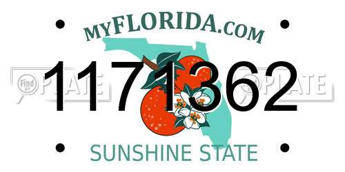 1171362 Florida License Plate