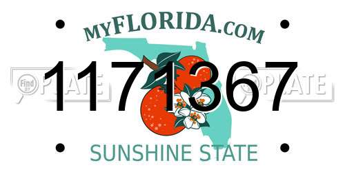 1171367 Florida License Plate