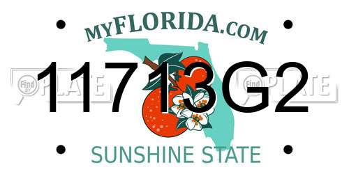 11713G2 Florida License Plate
