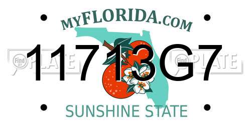 11713G7 Florida License Plate