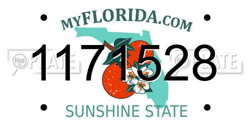 1171528 Florida License Plate