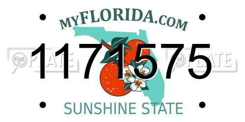 1171575 Florida License Plate