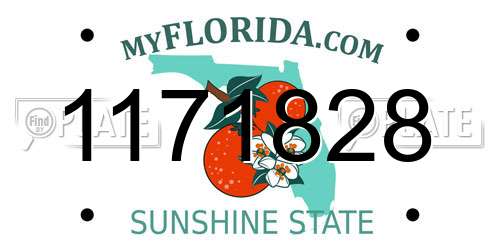 1171828 Florida License Plate
