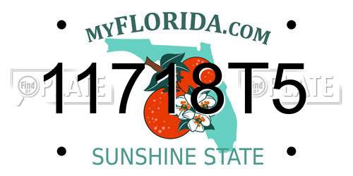 11718T5 Florida License Plate