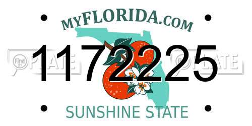 1172225 Florida License Plate