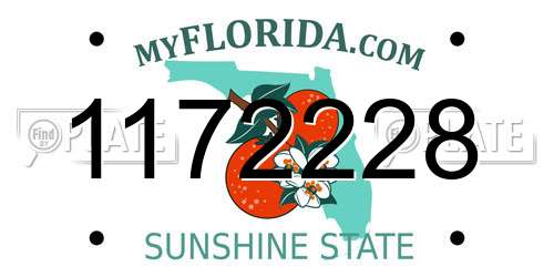 1172228 Florida License Plate