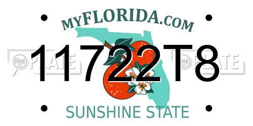11722T8 Florida License Plate