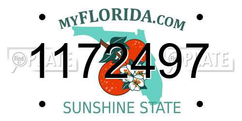 1172497 Florida License Plate