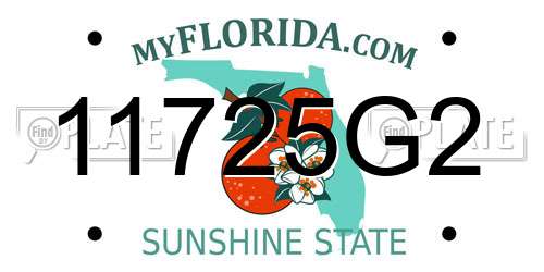 11725G2 Florida License Plate