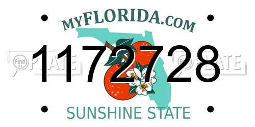 1172728 Florida License Plate