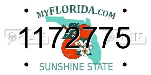 1172775 Florida License Plate