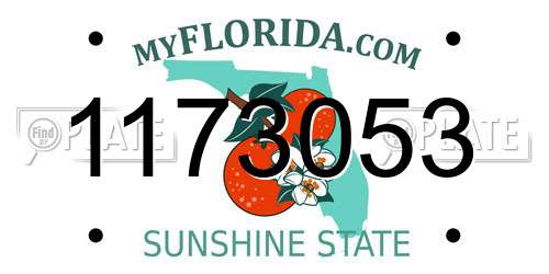 1173053 Florida License Plate