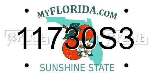 11730S3 Florida License Plate