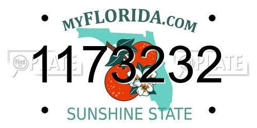 1173232 Florida License Plate
